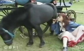 japanese bestiality, beastiality porn