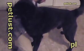 sex with animals, dog sex