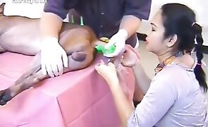 free animal porn, beastiality porn