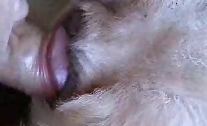 dog sex, animal fucking